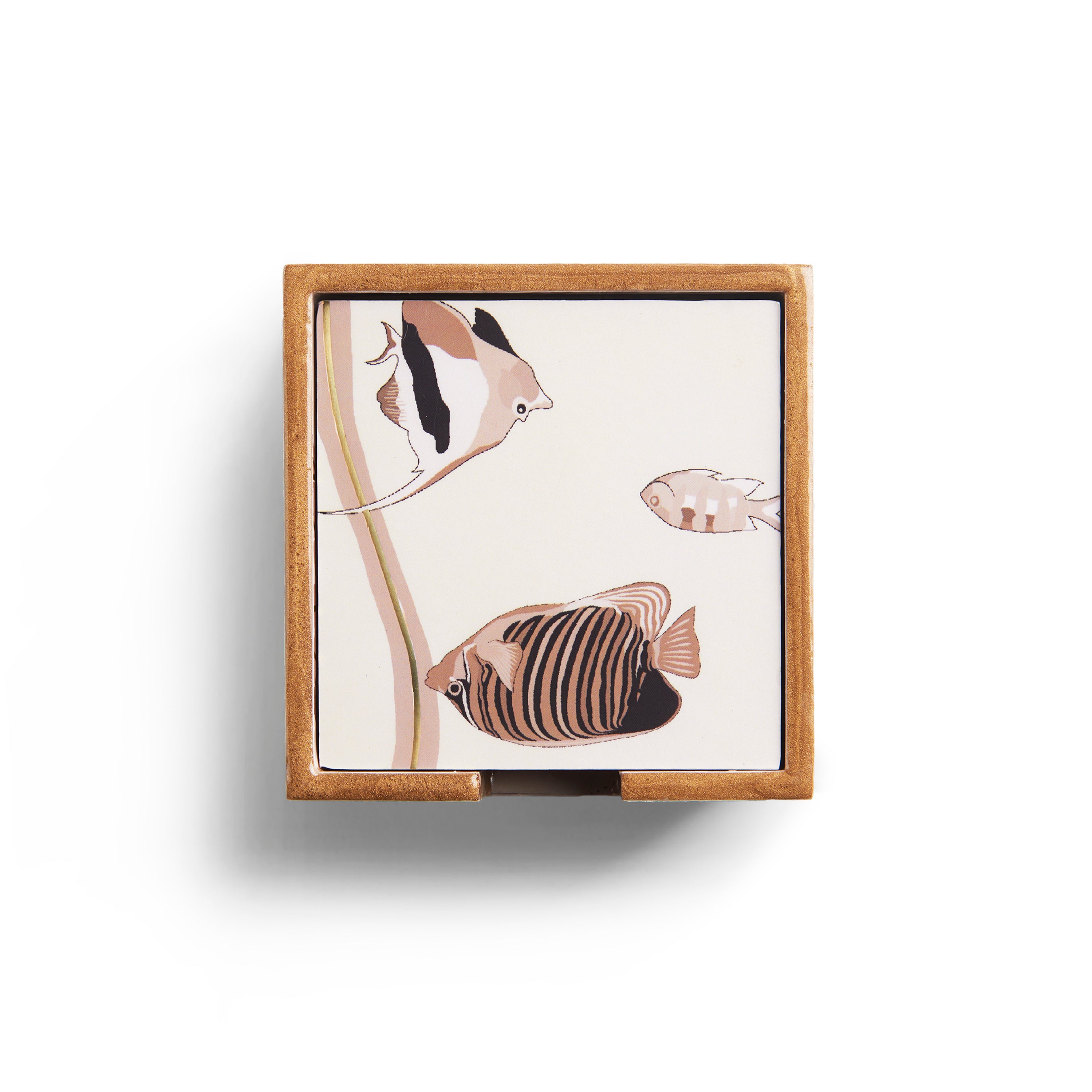 Red Sea Coasters Set