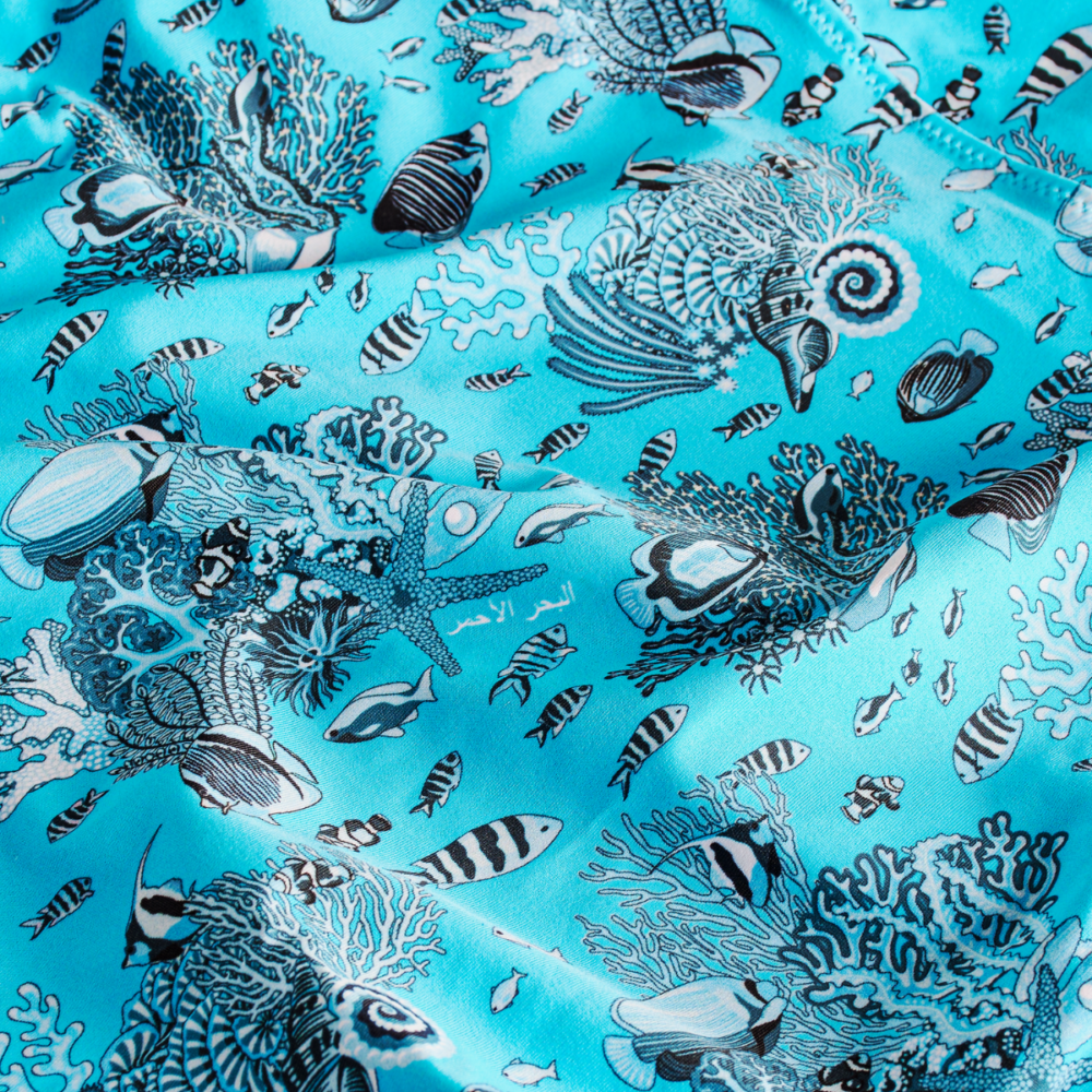 #color_aqua