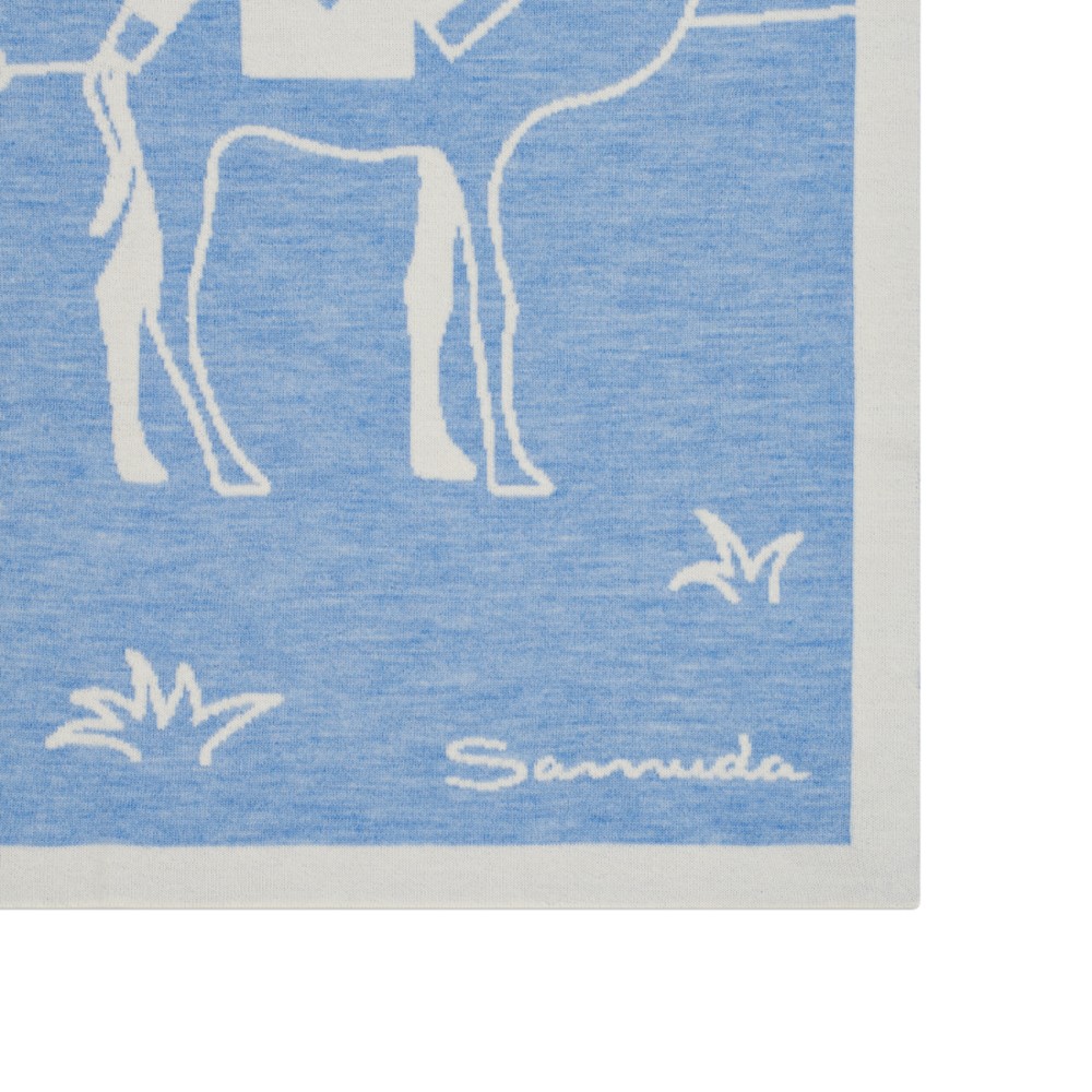 #color_blue