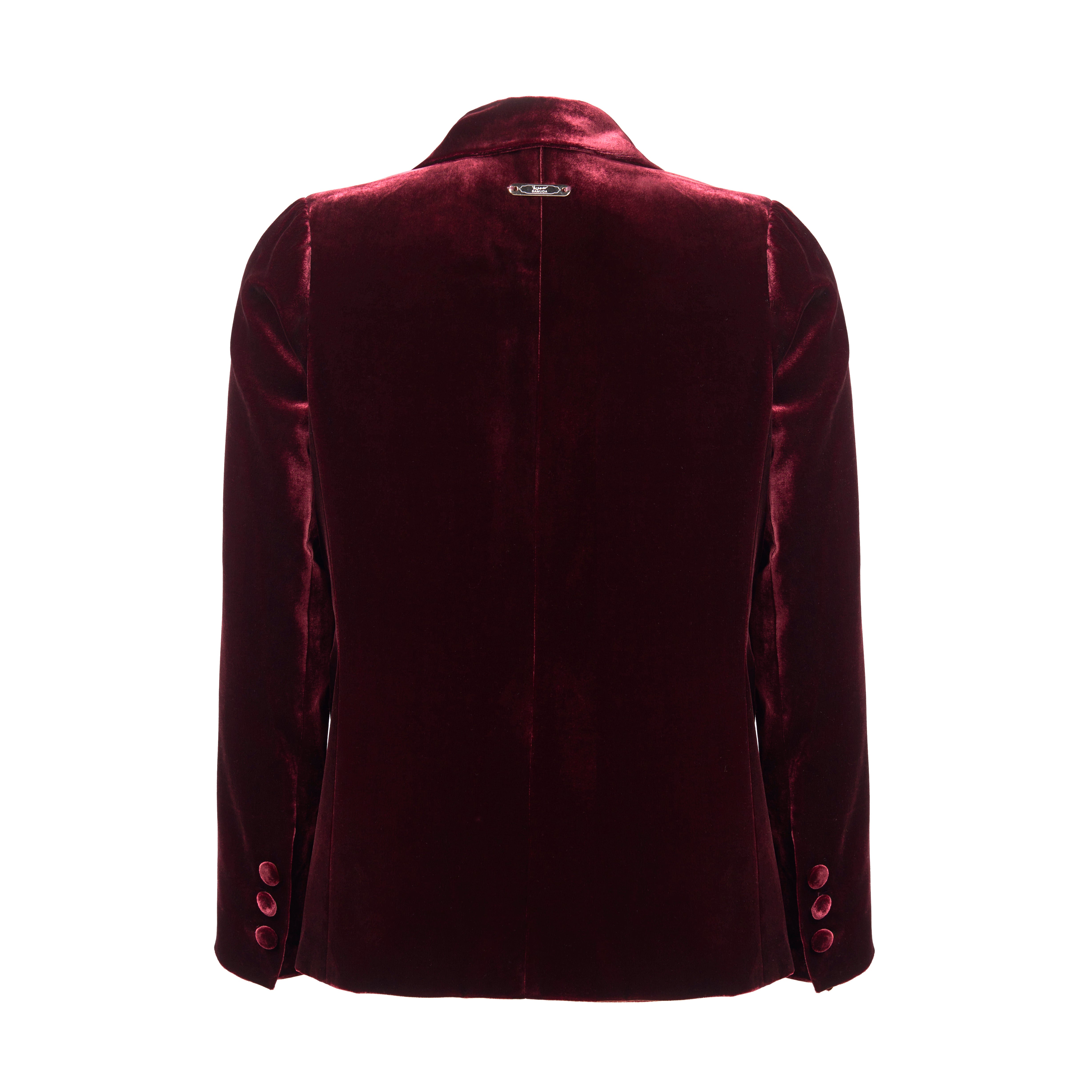 Ornamental Velvet Blazer